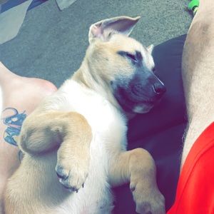 Meet your Posher, Daniel